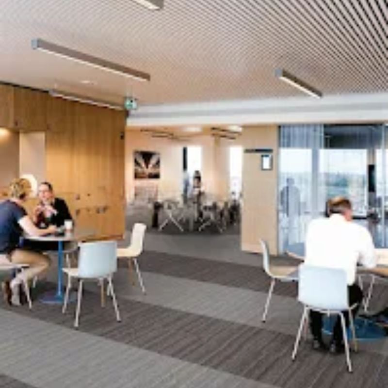 Thảm tấm Apollo phối cảnh 1