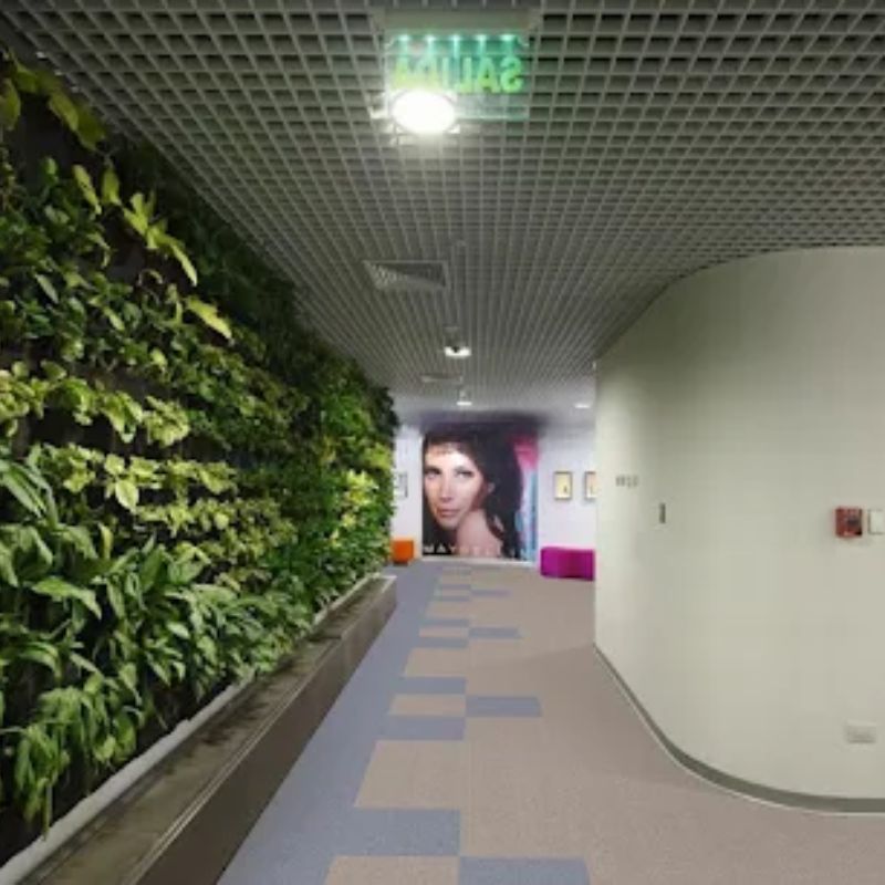 Thảm tấm Talent phối cảnh 4