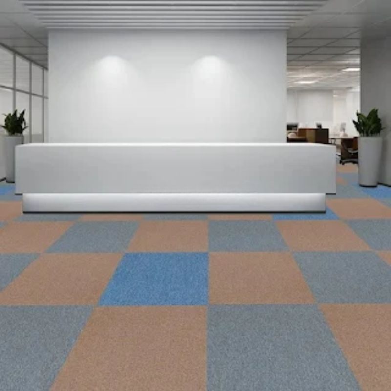 Thảm Solid phối cảnh 1