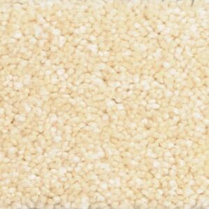 Thảm cuộn lông xù GS