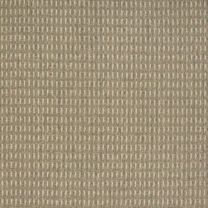 Bảng màu thảm cuộn SKYT