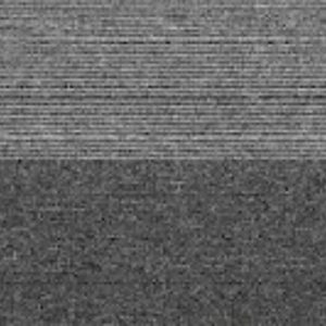 Thảm tấm Landscape