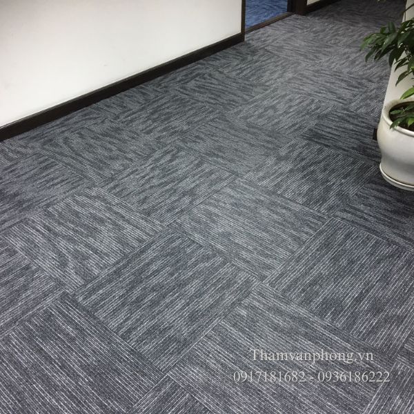 Những ưu điểm nổi bật khiến PX-5000 nổi bật trên thị trường