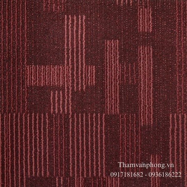 Tham-tam-van-phong-Basics-V-7