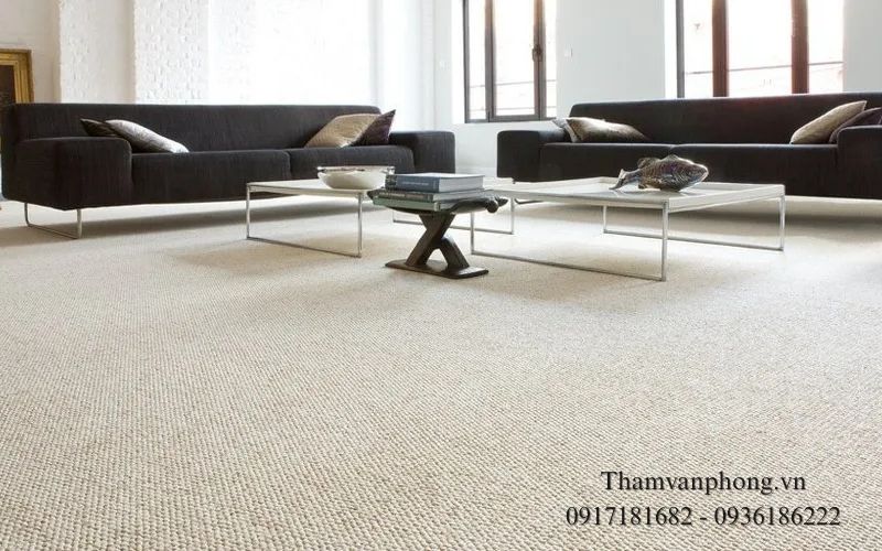 Thảm nỉ trải phòng họp/ phòng khách sang trọng