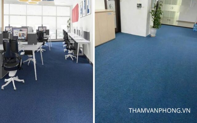 Thảm hội trường màu xanh dương